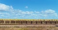 Harvested Sugar Cane In Bins Ready For The Mill Royalty Free Stock Photo