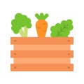 Harvested Vegetable icon vector image.