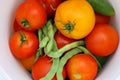 Harvested Vegetables in White Bucket