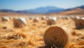 Harvested wheat bales in a golden meadow, nature organic beauty generated by AI Royalty Free Stock Photo