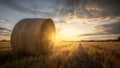 A harvested wheat field with bales of straw and the beaming light of the evening sun Royalty Free Stock Photo