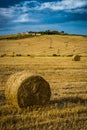 Harvested wheat field with bales in Tuscany, Italy Royalty Free Stock Photo