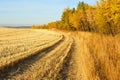 Harvested wheat field in fall