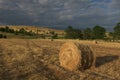 A Harvested Wheat Field With A Round Straw Bales