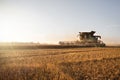 Wheat field with a combine harvester at sunset