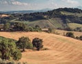 Harvested wheat fields, olive groves, vineyards and woods on the hills