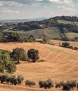 Harvested wheat fields, olive groves, vineyards and woods on the hills