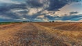 Harvested wheat fields over cloudy sky Royalty Free Stock Photo