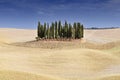 Harvested wheat fields, ploughed field and cypress trees, landscape near Montalcino, Province of Siena, Toscany, Italy, Europe