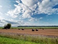 Harvested wheat grain field with rolls of hey for collection. Summer day with cloudy sky. Food supply chain. Grain product