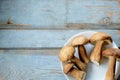 Harvested wild porcini mushrooms in white plate on wooden background