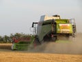 Harvester collecting dry cereal field for food powder machine