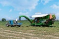 Harvester collects tomatoes in plastic boxes on a tractor. People at work.