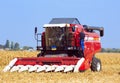 Harvester Combine on the corn field