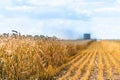 Harvester combine harvesting wheat on agricultural field on sunny summer day. Royalty Free Stock Photo