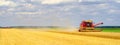 Harvester combine harvesting wheat in summer