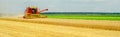 Harvester combine harvesting wheat in summer Royalty Free Stock Photo