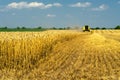 Harvester combine harvesting wheat on sunny summer day Royalty Free Stock Photo