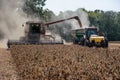 A harvester conveying a load of soybeans into a hopper