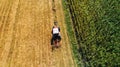 Harvester farmer using tractor with rotary rakes for collecting hay. Aerial drone view, agricultural details