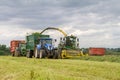 Harvester forager cutting field, loading Silage into a Tractor Trailer