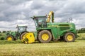 Harvester forager cutting field, loading Silage into a Tractor Trailer