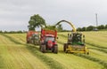 Harvester forager cutting field, loading Silage into a Tractor Trailer