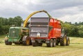 Harvester forager cutting field, loading Silage into a Tractor Trailer Royalty Free Stock Photo