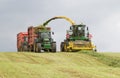 Harvester forager cutting field, loading Silage into a Tractor Trailer