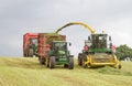 Harvester forager cutting field, loading Silage into two Tractor Trailer