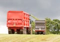 Harvester forager cutting field, loading Silage into two Tractor Trailer