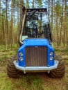Harvester truck work in young pine forest. Skilful three axes harvester.
