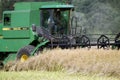 Harvester harvester collecting ripe rapeseed beans on the field. Lithuania