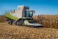 harvester harvests in a corn field in autumn Royalty Free Stock Photo