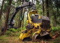 A harvester (heavy forestry vehicle) in the Izera forest Royalty Free Stock Photo