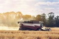 Harvester machine to harvest wheat field working. Combine harvester agriculture machine harvesting golden ripe wheat field. Royalty Free Stock Photo