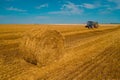 Harvester machine to harvest wheat field working. Combine harvester agriculture machine harvesting golden ripe wheat field. Royalty Free Stock Photo