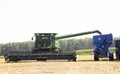 Harvester machine to harvest wheat field working. Combine agriculture harvesting golden ripe . Royalty Free Stock Photo