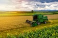 Harvester machine to harvest wheat field working. Combine harvester agriculture machine harvesting golden ripe wheat field. Royalty Free Stock Photo