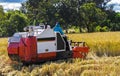 Harvester machine to harvest wheat field working. Combine harvester agriculture machine harvesting golden ripe wheat field in Royalty Free Stock Photo