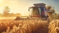 Harvester machine to harvest wheat field working. Harvest time. Harvester at work in summer sun. Royalty Free Stock Photo