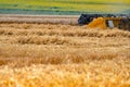 Harvester mower in a wheat field. Harvesting.