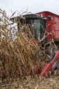 Harvester mows ripe corn in the field