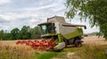 Harvester at work in the field during the wheat Royalty Free Stock Photo