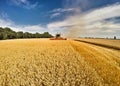 Harvester at work in summer sun Royalty Free Stock Photo