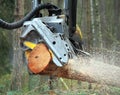 The harvester working in a forest.