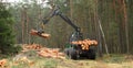 The harvester working in a forest.