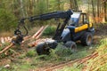 The harvester working in a forest. Royalty Free Stock Photo