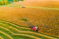 Harvesters collect grains, aerial landscape. Farming concept