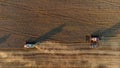 The harvesters harvest grain in a wheat field. Wonderful summer rural landscape, view from the drone.